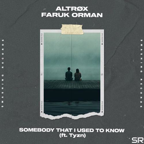 Скачать песню Altrox - Somebody That I Used To Know (feat. Faruk Orman & Tyzn)