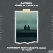 Скачать песню Altrox - Somebody That I Used To Know (feat. Faruk Orman & Tyzn)