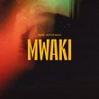 Скачать песню Zerb - Mwaki (feat. Sofiya Nzau)