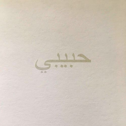 Скачать песню Bagardi - Habibi