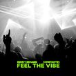 Скачать песню Benny Benassi - Feel The Vibe (feat. Constantin)