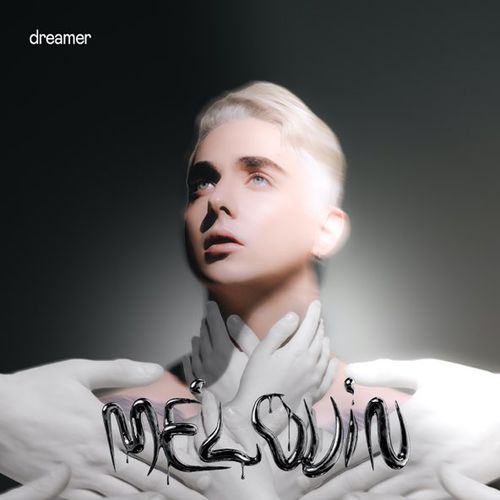 Скачать песню Melovin - Dreamer