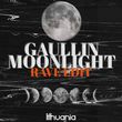 Скачать песню Gaullin - Moonlight (Rave Edit)