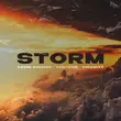 Скачать песню Vadim Adamov - Storm (feat. Venteris & Dinamixx)
