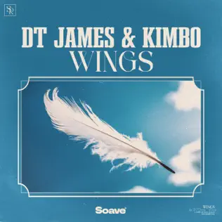 Скачать песню DT James - Wings (feat. Kimbo)