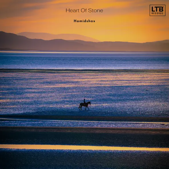 Скачать песню Hamidshax - Heart Of Stone (Original Mix)
