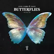 Скачать песню Nassá & John Gemiini - Butterflies (Original Mix)