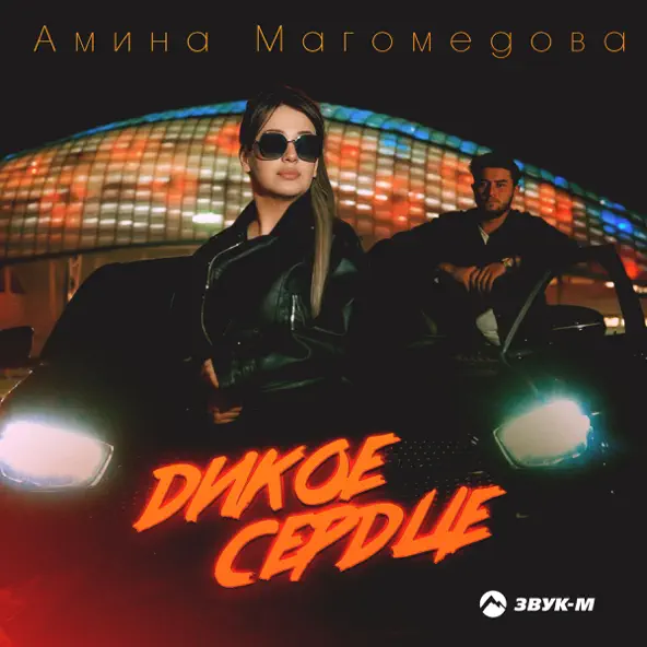 Скачать песню Амина Магомедова - Дикое Сердце