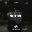 Скачать песню DJ Jedy - Not Me