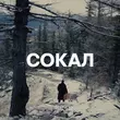 Скачать песню NaviBand - Сокал
