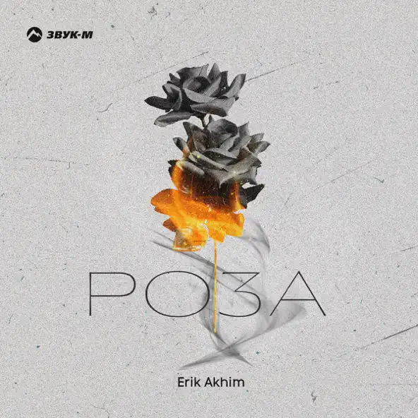 Скачать песню Erik Akhim - Роза