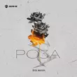 Скачать песню Erik Akhim - Роза