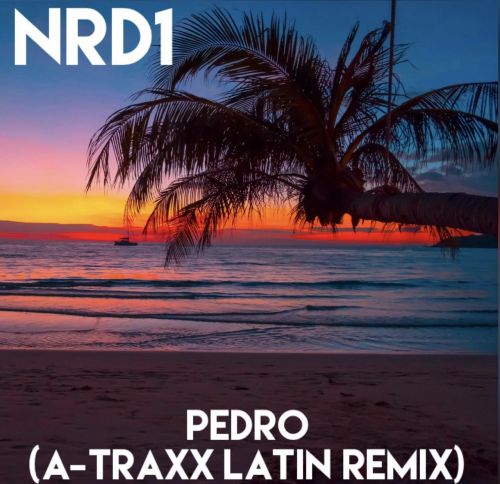 Скачать песню Nrd1 - Pedro (A-traxx Latin Remix)