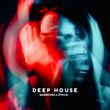 Скачать песню Gazirovka - Deep House (feat. Zyava)