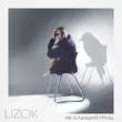 Скачать песню Lizok - Не Слышно Птиц