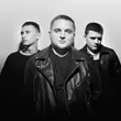 Скачать песню Тайпан - Твоя Красота (feat. Logmarin & Il'giz)
