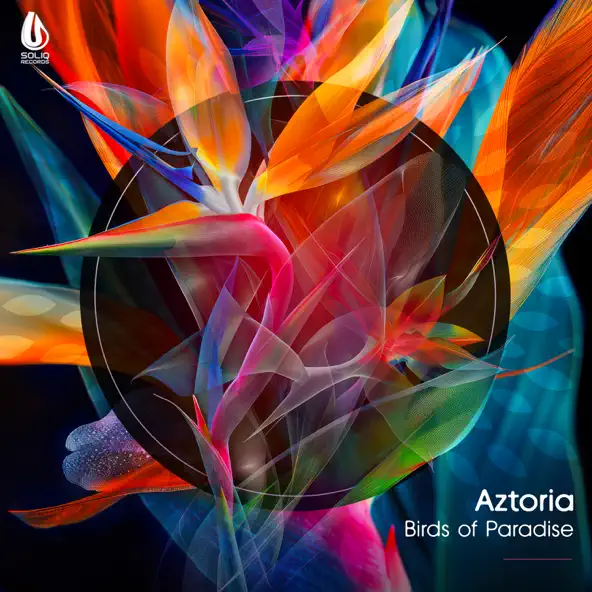 Скачать песню Aztoria - Birds Of Paradise (Original Mix)
