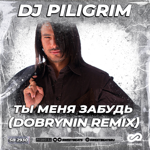 Скачать песню DJ Piligrim - Ты Меня Забудь (Dobrynin Remix)