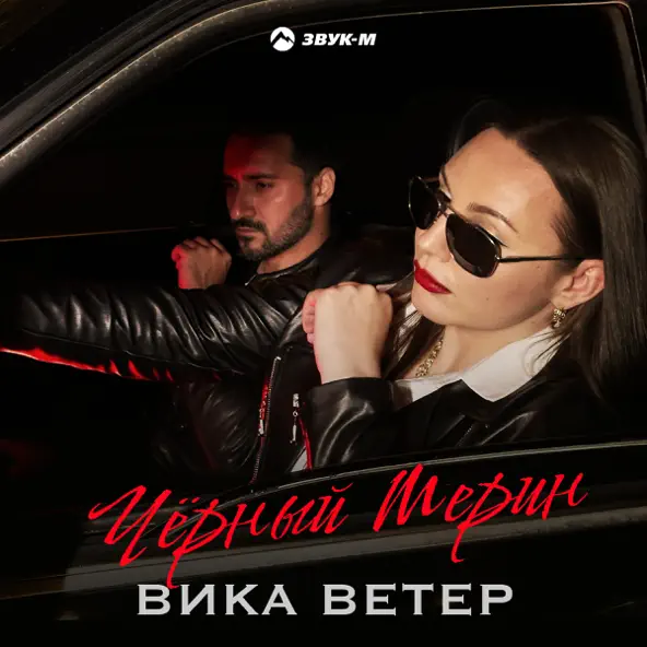 Скачать песню Вика Ветер - Чёрный Мерин