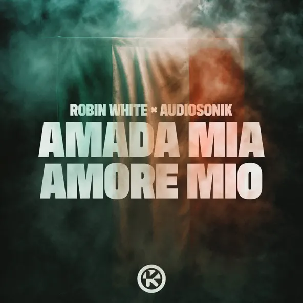 Скачать песню Robin White - Amada Mia, Amore Mio (feat. Audiosonik)