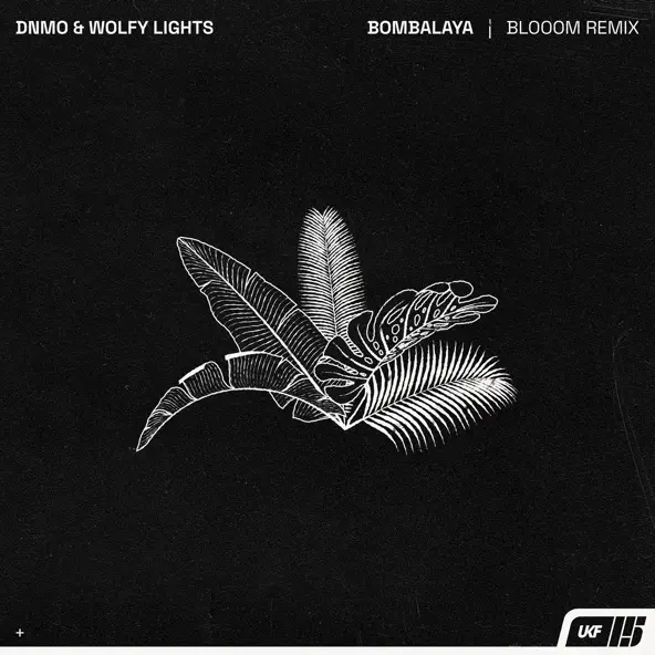 Скачать песню Dnmo & Wolfy Lights - Bombalaya (Blooom Remix)