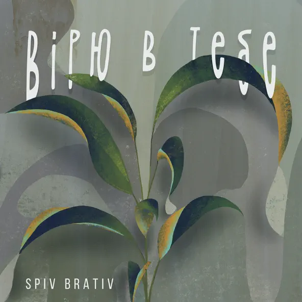 Скачать песню Spiv Brativ - Вірю В Тебе