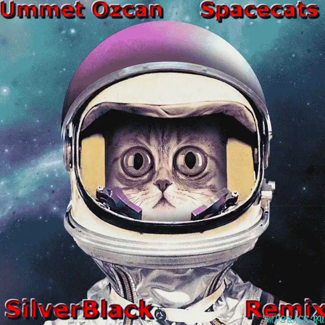 Скачать песню Ummet Ozcan - Spacecats (SilverBlack Remix)
