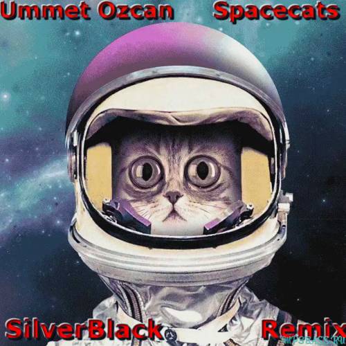 Скачать песню Ummet Ozcan - Spacecats (SilverBlack Remix)