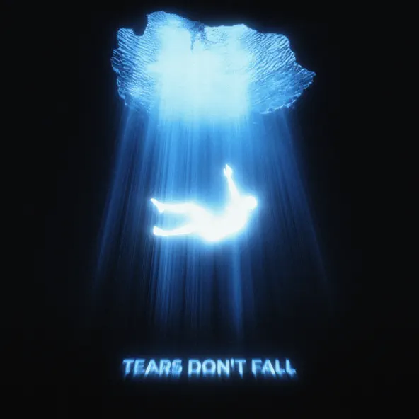 Скачать песню Kaskade - Tears Don't Fall (feat. Enisa)