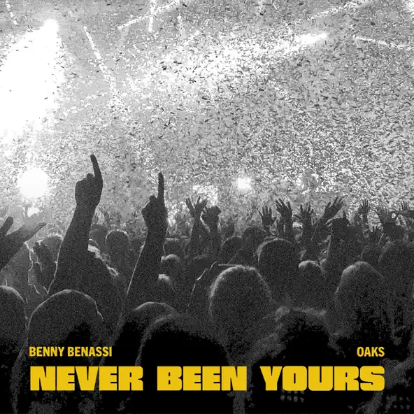 Скачать песню Benny Benassi - Never Been Yours (feat. Oaks)