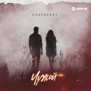 Скачать песню Cvetocek7 - Чужой