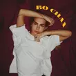 Скачать песню Polka - Во Снах