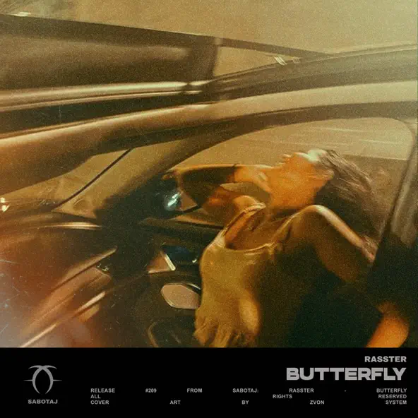 Скачать песню Rasster - Butterfly