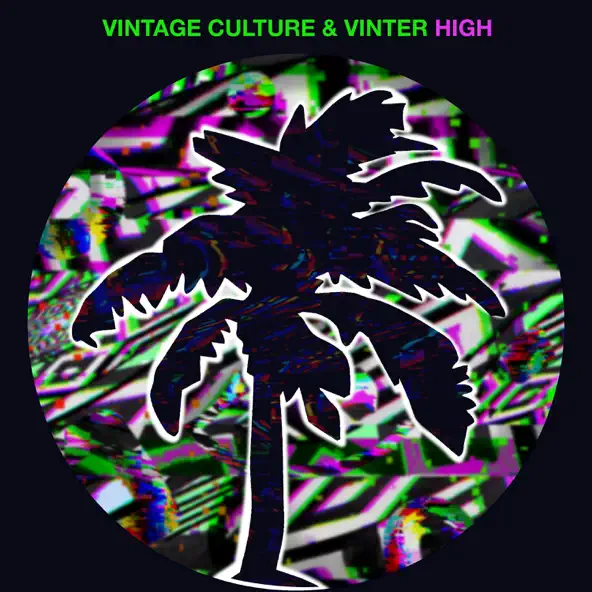 Скачать песню Vintage Culture - High (feat. Vinter)