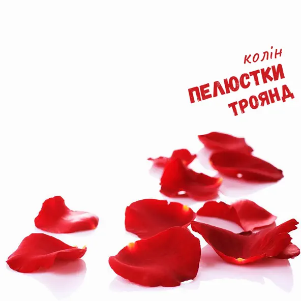 Скачать песню Колін - Пелюстки Троянд