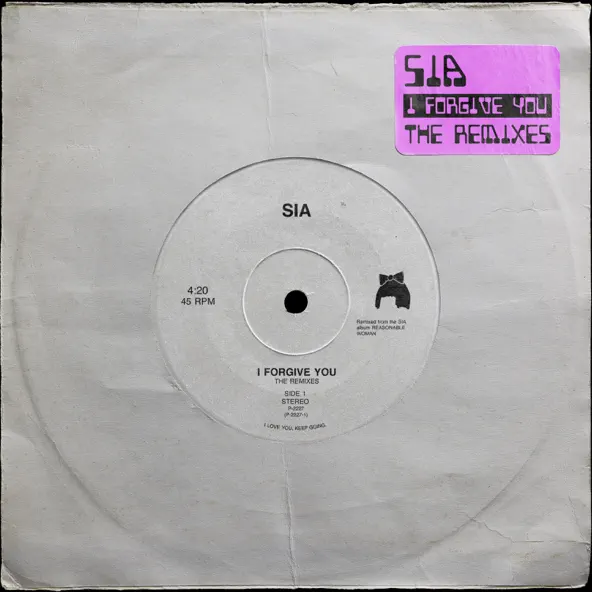 Скачать песню Sia - I Forgive You (Spencer Brown Remix)