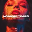 Скачать песню Serge Legran - No More Tears