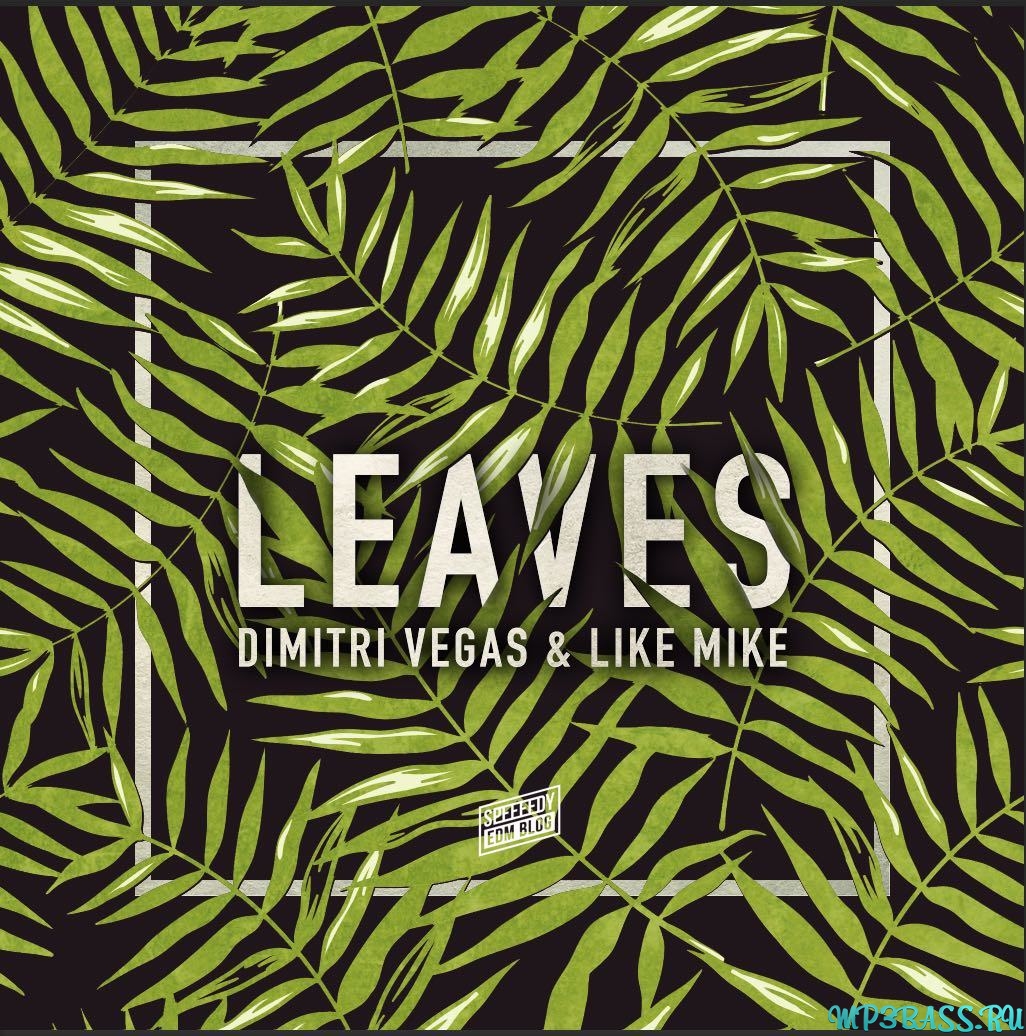 Скачать песню Dimitri Vegas & Like Mike - Leaves (Original Mix)