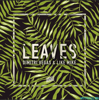Скачать песню Dimitri Vegas & Like Mike - Leaves (Original Mix)