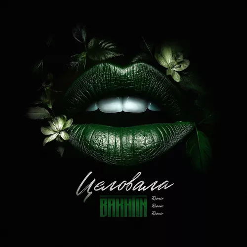 Скачать песню Bakhtin - Целовала (Remix)