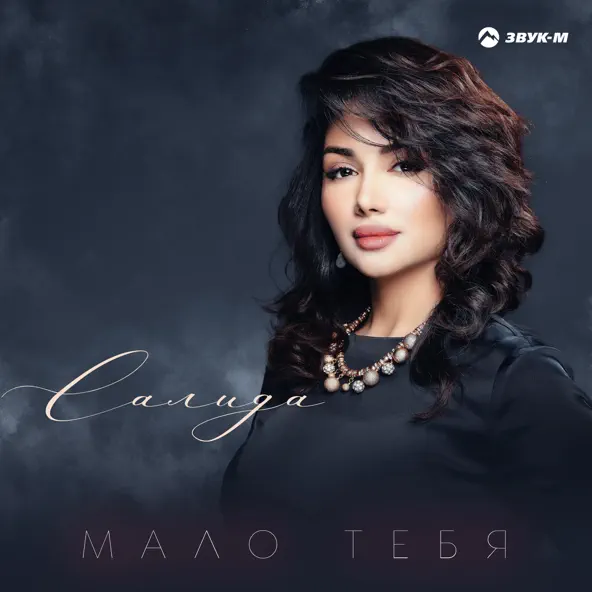 Скачать песню Салида - Мало Тебя