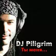 Скачать песню DJ Piligrim - Ты Меня Забудь (DJ Moyshe Afro Mix)