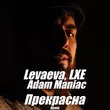 Скачать песню Levaeva & Lxe - Прекрасна (Remix)