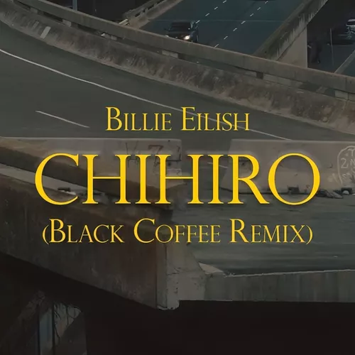 Скачать песню Billie Eilish - Chihiro (Black Coffee Remix)