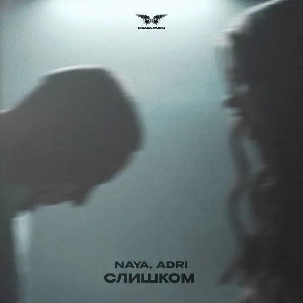 Скачать песню Naya - Слишком (feat. Adri)