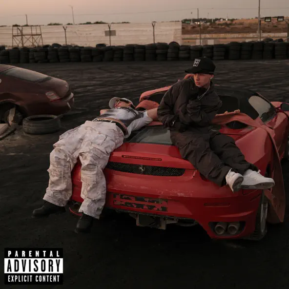 Скачать песню Bushido Zho - Slim Shady (feat. Aarne)