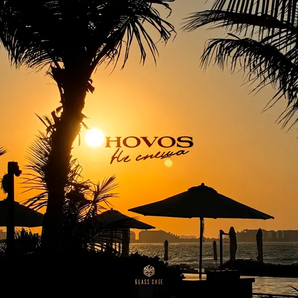 Скачать песню Hovos - Не Спеша