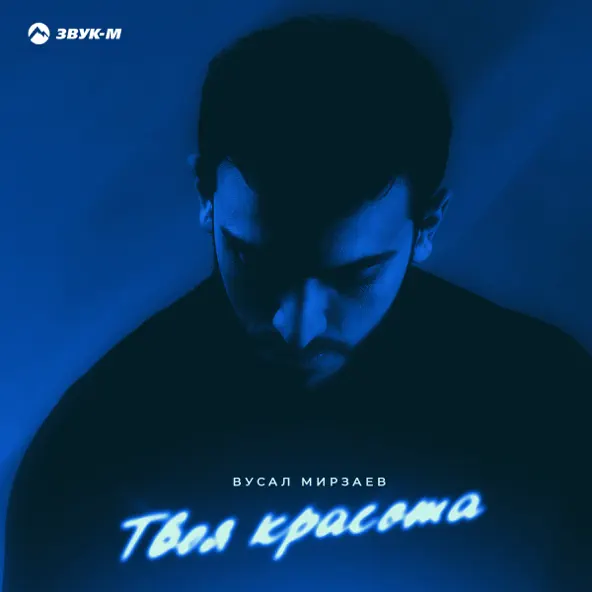 Скачать песню Вусал Мирзаев - Твоя Красота