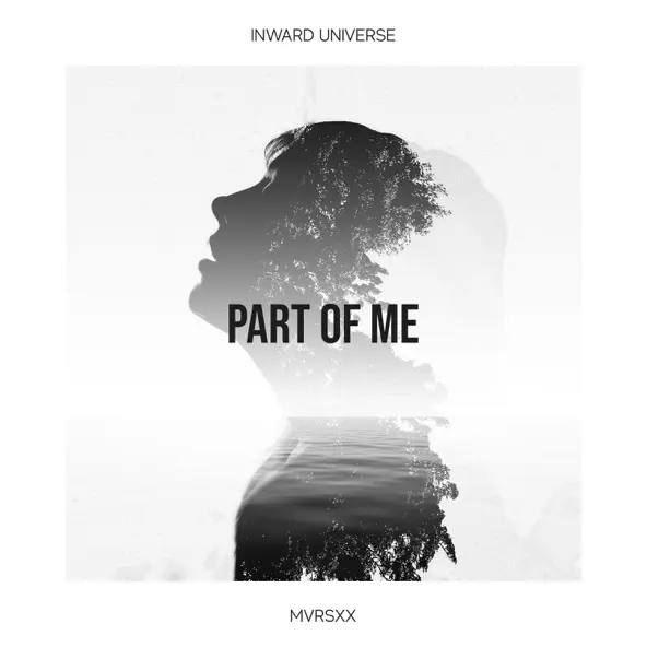 Скачать песню Inward Universe & Mvrsxx - Part Of Me (Original Mix)