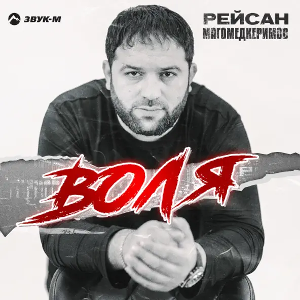 Скачать песню Рейсан Магомедкеримов - Воля